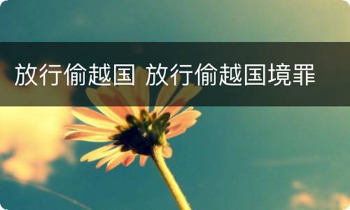 放行偷越国 放行偷越国境罪