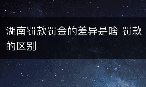 湖南罚款罚金的差异是啥 罚款的区别