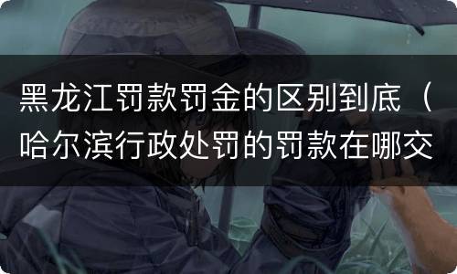 黑龙江罚款罚金的区别到底（哈尔滨行政处罚的罚款在哪交）