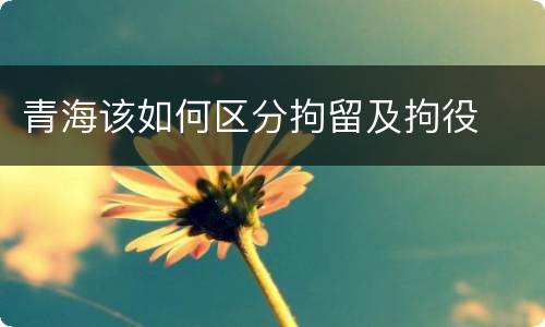 青海该如何区分拘留及拘役