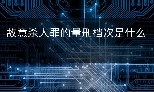 故意杀人罪的量刑档次是什么