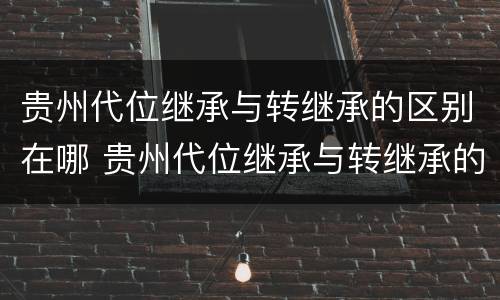 贵州代位继承与转继承的区别在哪 贵州代位继承与转继承的区别在哪儿