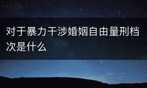 对于暴力干涉婚姻自由量刑档次是什么