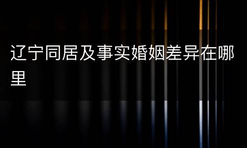 辽宁同居及事实婚姻差异在哪里