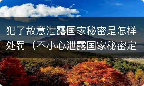 犯了故意泄露国家秘密是怎样处罚（不小心泄露国家秘密定什么罪）