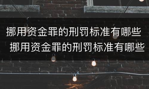 挪用资金罪的刑罚标准有哪些 挪用资金罪的刑罚标准有哪些规定