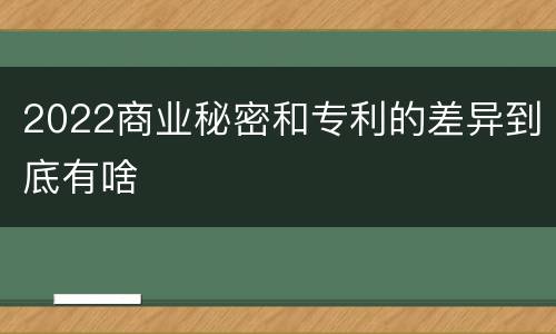 2022商业秘密和专利的差异到底有啥