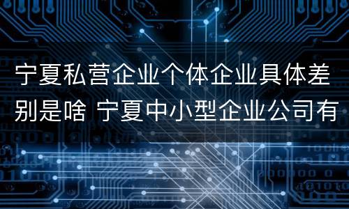宁夏私营企业个体企业具体差别是啥 宁夏中小型企业公司有哪些