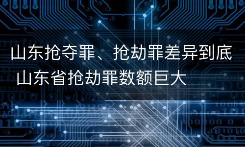 山东抢夺罪、抢劫罪差异到底 山东省抢劫罪数额巨大