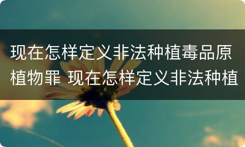 现在怎样定义非法种植毒品原植物罪 现在怎样定义非法种植毒品原植物罪名