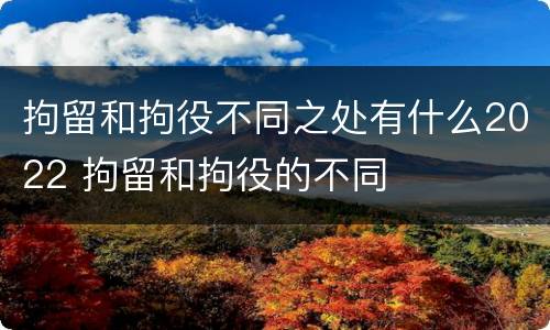 拘留和拘役不同之处有什么2022 拘留和拘役的不同
