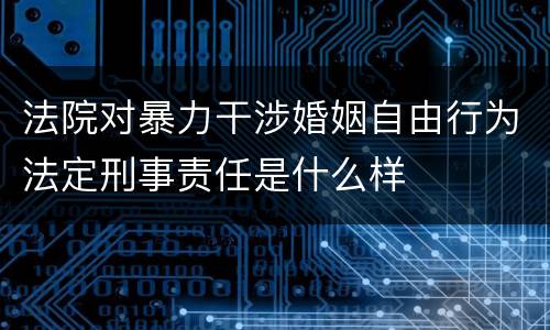 法院对暴力干涉婚姻自由行为法定刑事责任是什么样