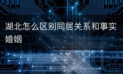 湖北怎么区别同居关系和事实婚姻