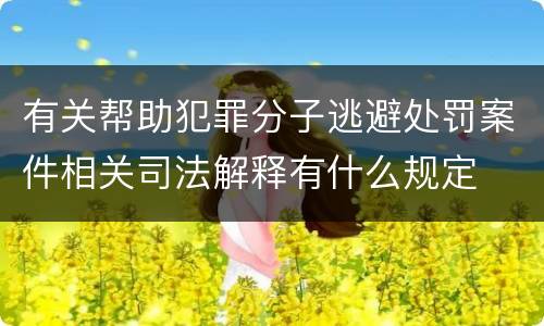 有关帮助犯罪分子逃避处罚案件相关司法解释有什么规定
