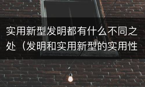 实用新型发明都有什么不同之处（发明和实用新型的实用性）
