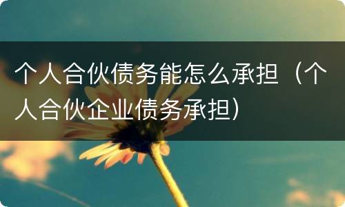 个人合伙债务能怎么承担（个人合伙企业债务承担）