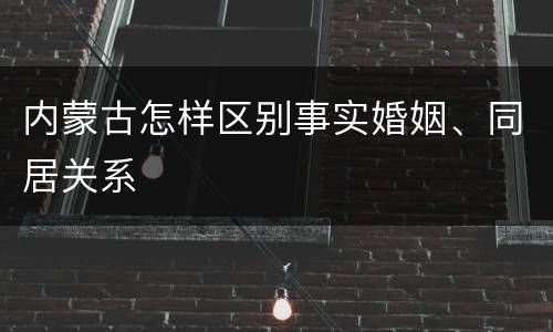 内蒙古怎样区别事实婚姻、同居关系