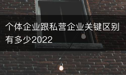 个体企业跟私营企业关键区别有多少2022