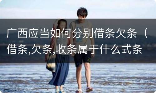 广西应当如何分别借条欠条（借条,欠条,收条属于什么式条据）
