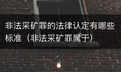 非法采矿罪的法律认定有哪些标准（非法采矿罪属于）