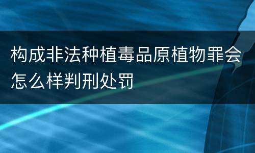 构成非法种植毒品原植物罪会怎么样判刑处罚
