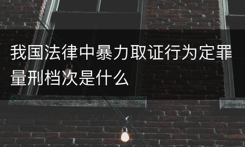 我国法律中暴力取证行为定罪量刑档次是什么