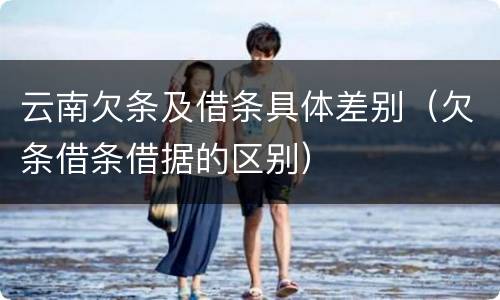 云南欠条及借条具体差别（欠条借条借据的区别）