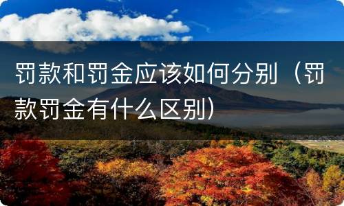 罚款和罚金应该如何分别（罚款罚金有什么区别）
