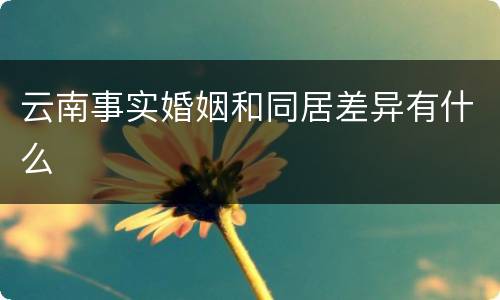 云南事实婚姻和同居差异有什么