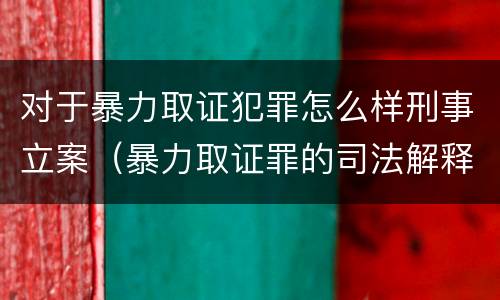 对于暴力取证犯罪怎么样刑事立案（暴力取证罪的司法解释）