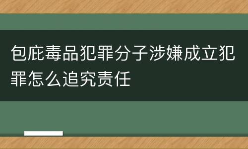 包庇毒品犯罪分子涉嫌成立犯罪怎么追究责任