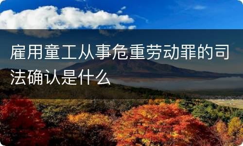 雇用童工从事危重劳动罪的司法确认是什么