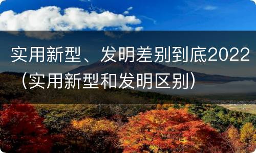 实用新型、发明差别到底2022（实用新型和发明区别）