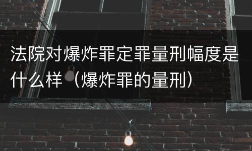 法院对爆炸罪定罪量刑幅度是什么样（爆炸罪的量刑）