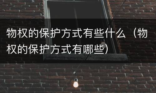 物权的保护方式有些什么（物权的保护方式有哪些）