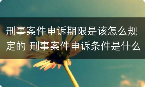刑事案件申诉期限是该怎么规定的 刑事案件申诉条件是什么