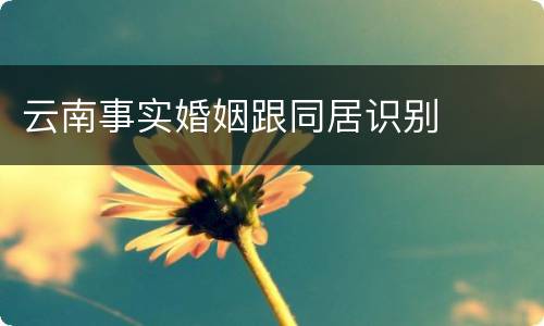 云南事实婚姻跟同居识别