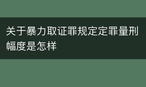 关于暴力取证罪规定定罪量刑幅度是怎样