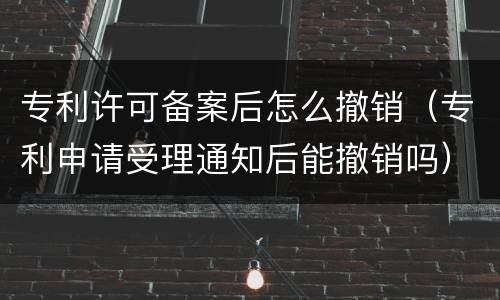 专利许可备案后怎么撤销（专利申请受理通知后能撤销吗）