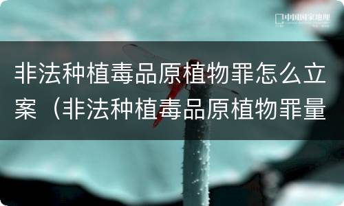 非法种植毒品原植物罪怎么立案（非法种植毒品原植物罪量刑）
