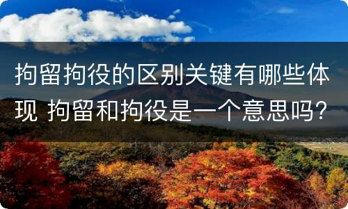 拘留拘役的区别关键有哪些体现 拘留和拘役是一个意思吗?