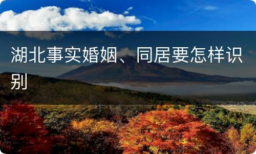 湖北事实婚姻、同居要怎样识别