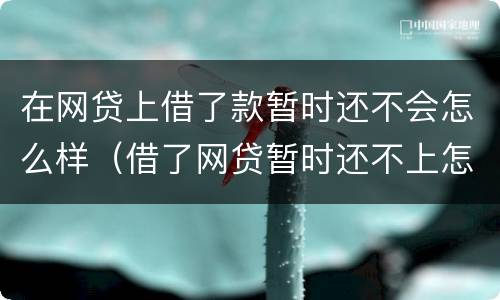 在网贷上借了款暂时还不会怎么样（借了网贷暂时还不上怎么办）