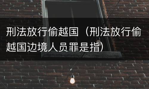 刑法放行偷越国（刑法放行偷越国边境人员罪是指）