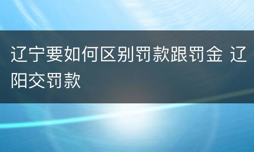 辽宁要如何区别罚款跟罚金 辽阳交罚款