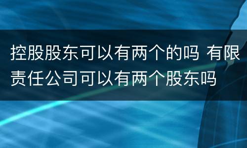 控股股东可以有两个的吗 有限责任公司可以有两个股东吗