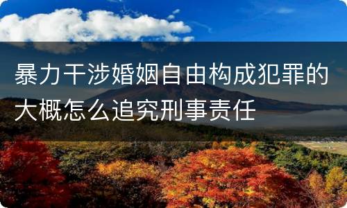 暴力干涉婚姻自由构成犯罪的大概怎么追究刑事责任