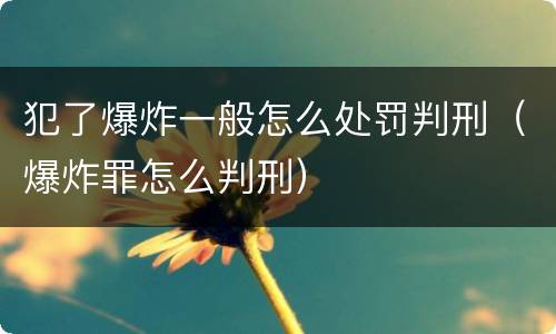 犯了爆炸一般怎么处罚判刑（爆炸罪怎么判刑）