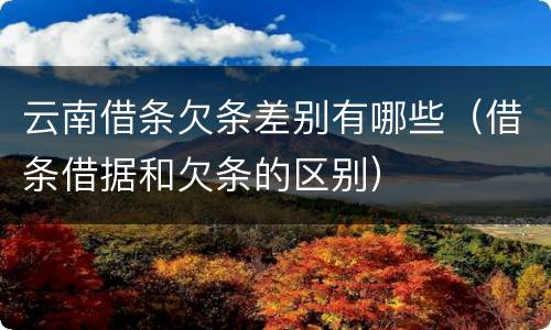 云南借条欠条差别有哪些（借条借据和欠条的区别）