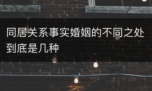 同居关系事实婚姻的不同之处到底是几种